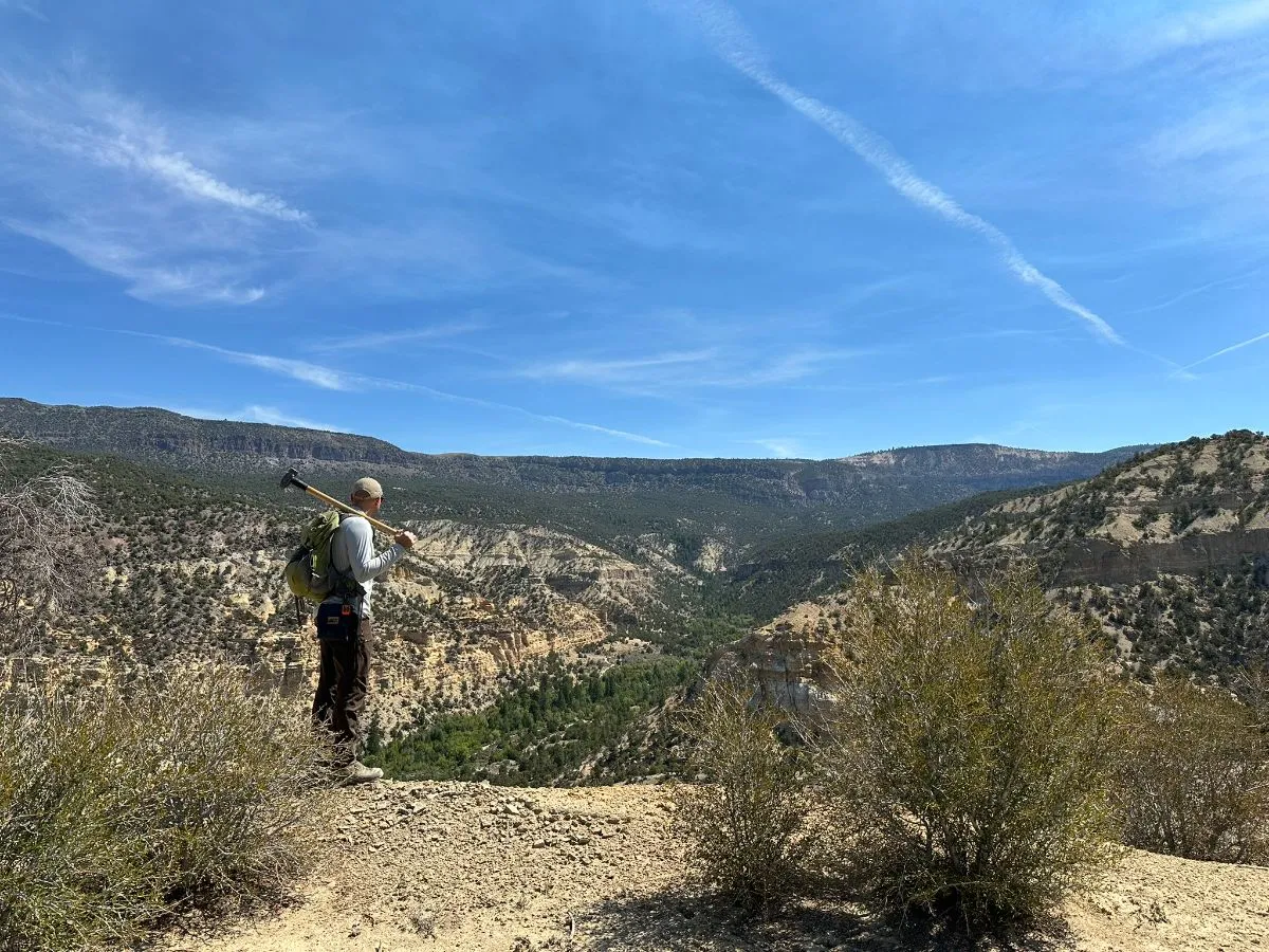 Geologist overlooking a canyon