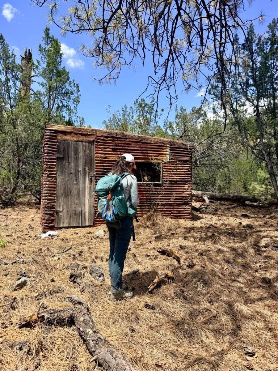 Geologist walking past an old wooden shed during a survey