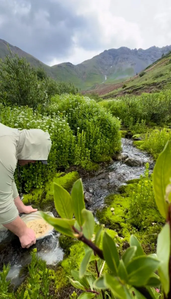 Panning a mountain stream among green shrubs