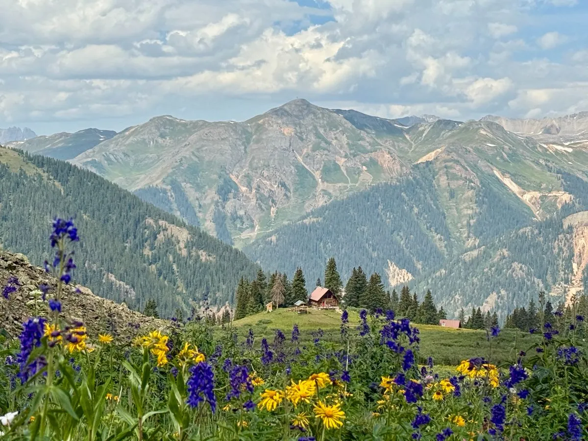 Alpine wildflowers and a cabin below mountain peaks