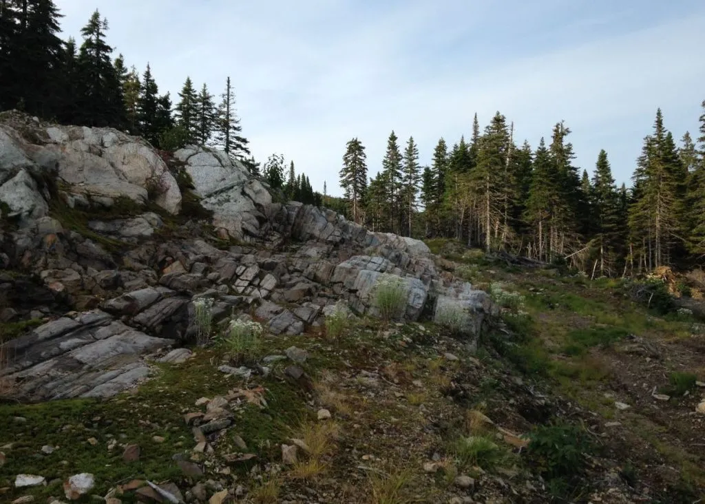 Rock outcrop among conifers at Smoke Mountain