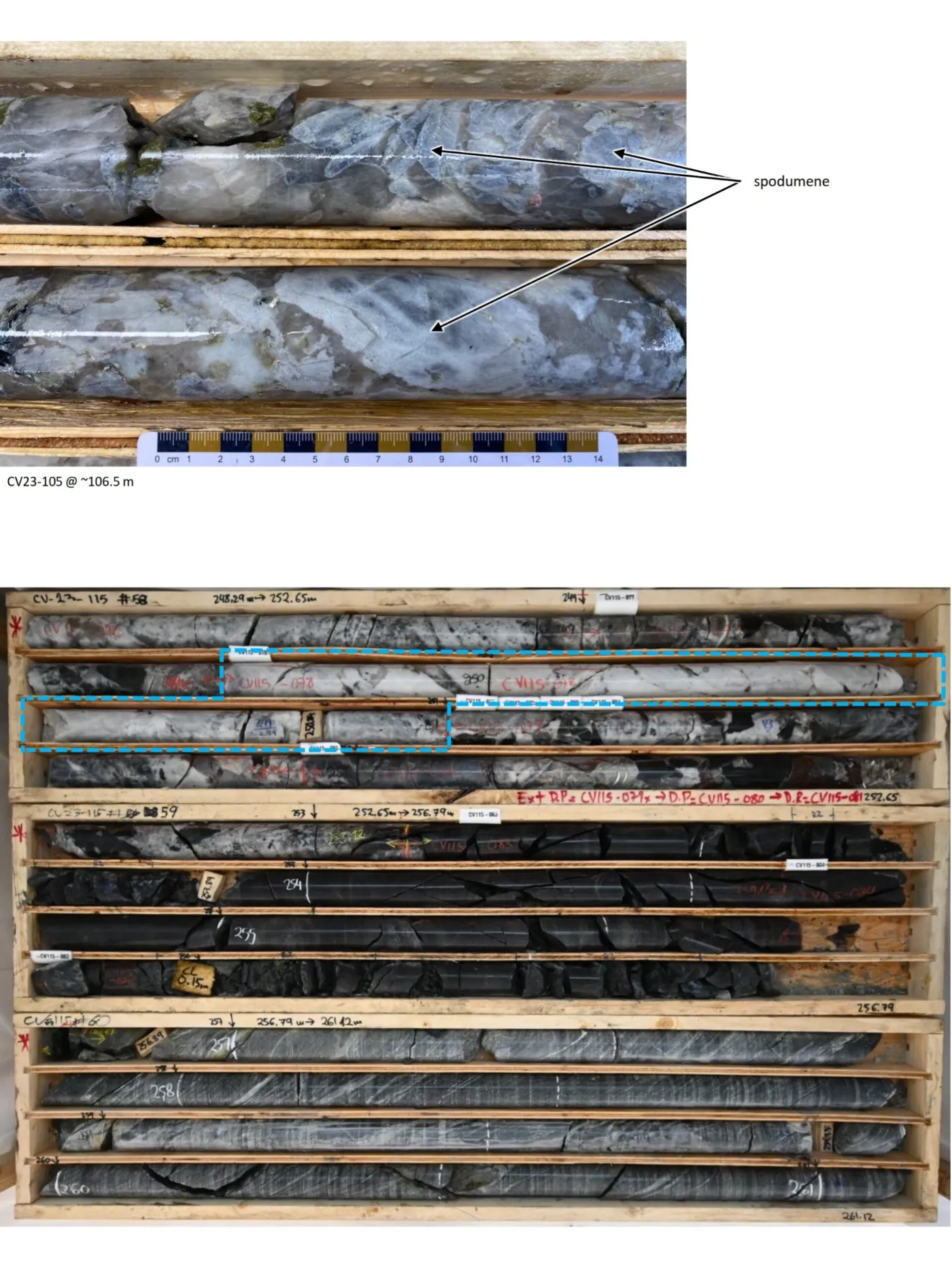 Drill core trays of spodumene pegmatite from the Nova zone